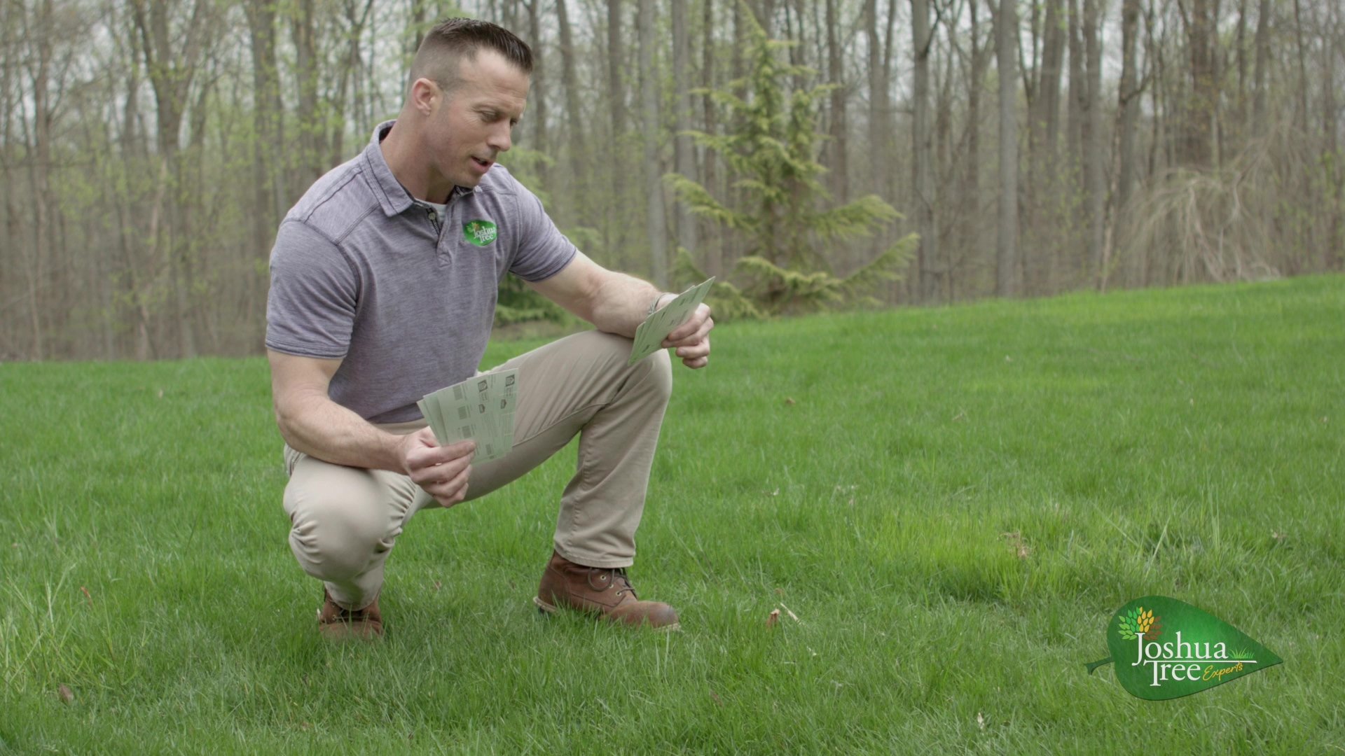 Lawn Care Tree Care Videos Joshua Tree Experts lawn-care-tree-care-videos-joshua-tree-experts